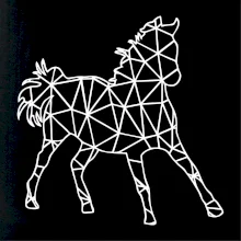 Geometria - kôň Geometria - kôň