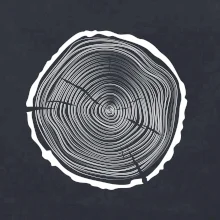 Letokruhy 45 bez veku