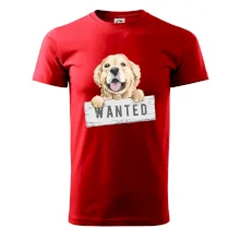 Zlatý retriever - šteniatko wanted