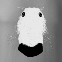 Barzoj čumák (Moňas)