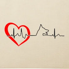 Nemecký ovčiak ekg