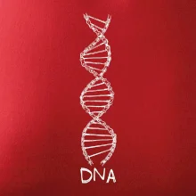 Cyklistovo DNA