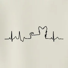 Yorkshirský teriér EKG