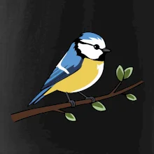 Sýkorka modrinka na vetve