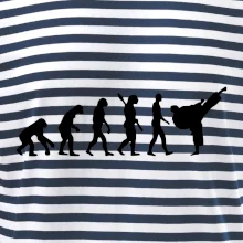 Karate Evolúcia - kop Karate Evolúcia - kop