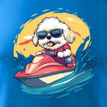 Lhasa Apso na vodnom skútri