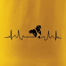 Jack Russell Terriér Ekg Jack Russell Terriér Ekg