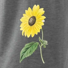 Slnečnica otočená