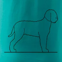 Lagotto romagnolo stojaci