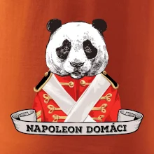 Napoleon domáci panda