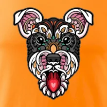 Knírač hlava barevná