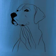 Labrador čierna kresba