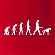 Evolúcia pes stavač