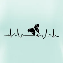 Jack Russell Terriér Ekg Jack Russell Terriér Ekg