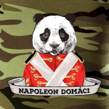 Napoleon domáci panda