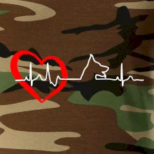 Nemecký ovčiak ekg Nemecký ovčiak ekg