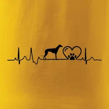 Chrt - Ekg Chrt - Ekg