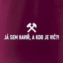 JÁ SEM HAVIŘ, A KDO JE VIĆ?!﻿