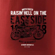 Raisin Hell Moto Racer