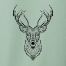 Jeleň kresba