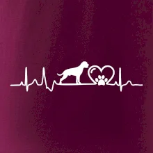 Nemecký boxer EKG Nemecký boxer EKG