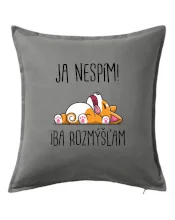 Ja nespím, iba rozmýšľam SK