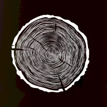 Letokruhy 60 bez veku