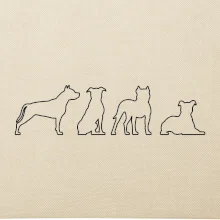 Americký stafordšírsky teriér v rôznych pozíciách