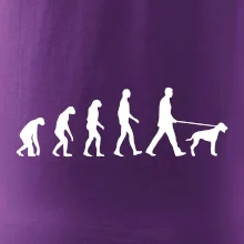 Evolúcia pes stavač Evolúcia pes stavač