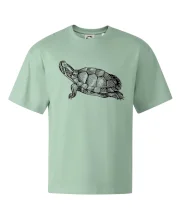 Ceruzkou kreslená korytnačka