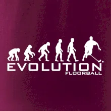 Evolúcia Floorball