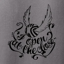 Harry - Zlatá strela