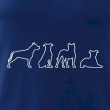 Americký stafordšírsky teriér v rôznych pozíciách