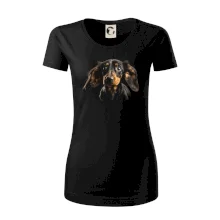 Jazvečík fotka len hlava