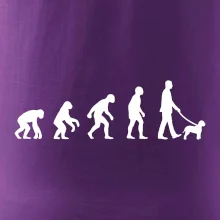 Lagotto romagnolo Evolúcia