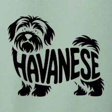 Havanese nápis v tele