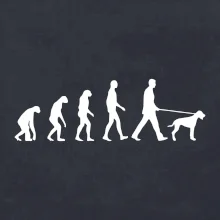 Evolúcia pes stavač