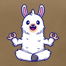 Yoga meditácie - lama