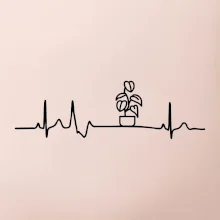 EKG Filodendron