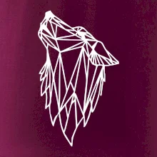 Geometria - vlk - vyjúci