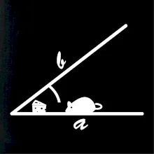 Matematická myš Matematická myš
