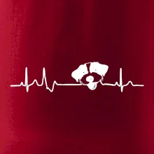 Jack Russell Teriér hrubosrstý Ekg