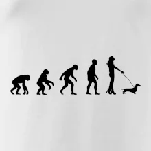 Jazvečík Evolúcia žena