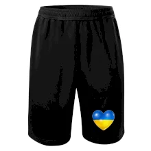 Ukrajina srdce vlajka Ukrajina srdce vlajka