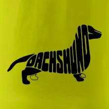 Jazvečík - Dachshund