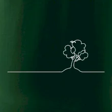 Strom s vtáčikom linka