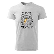 David Meowie