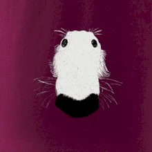 Barzoj čumák (Moňas)