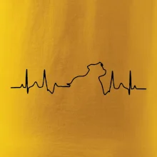 Stafordšírsky bulteriér ‎ EKG