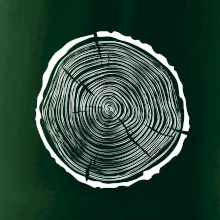 Letokruhy 40 bez veku